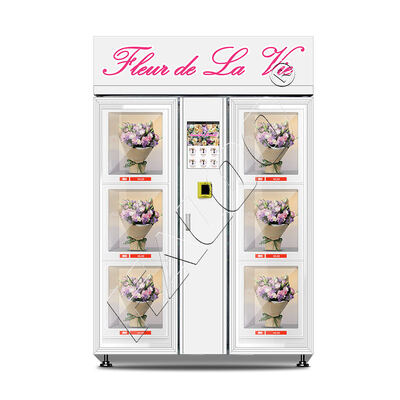Haloo Vending Machine LeverancierBig Size 6 Locker Vending Machine 10,1 inch Touch Screen Kies bloemen op de machine