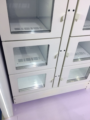 Zeevruchtenijs Lolly Vending Machine, 900W Bevroren Automaat